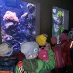 Dzieci oglądają zwierzęta w akwarium.