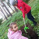 Dzieci sadzą drzewa.